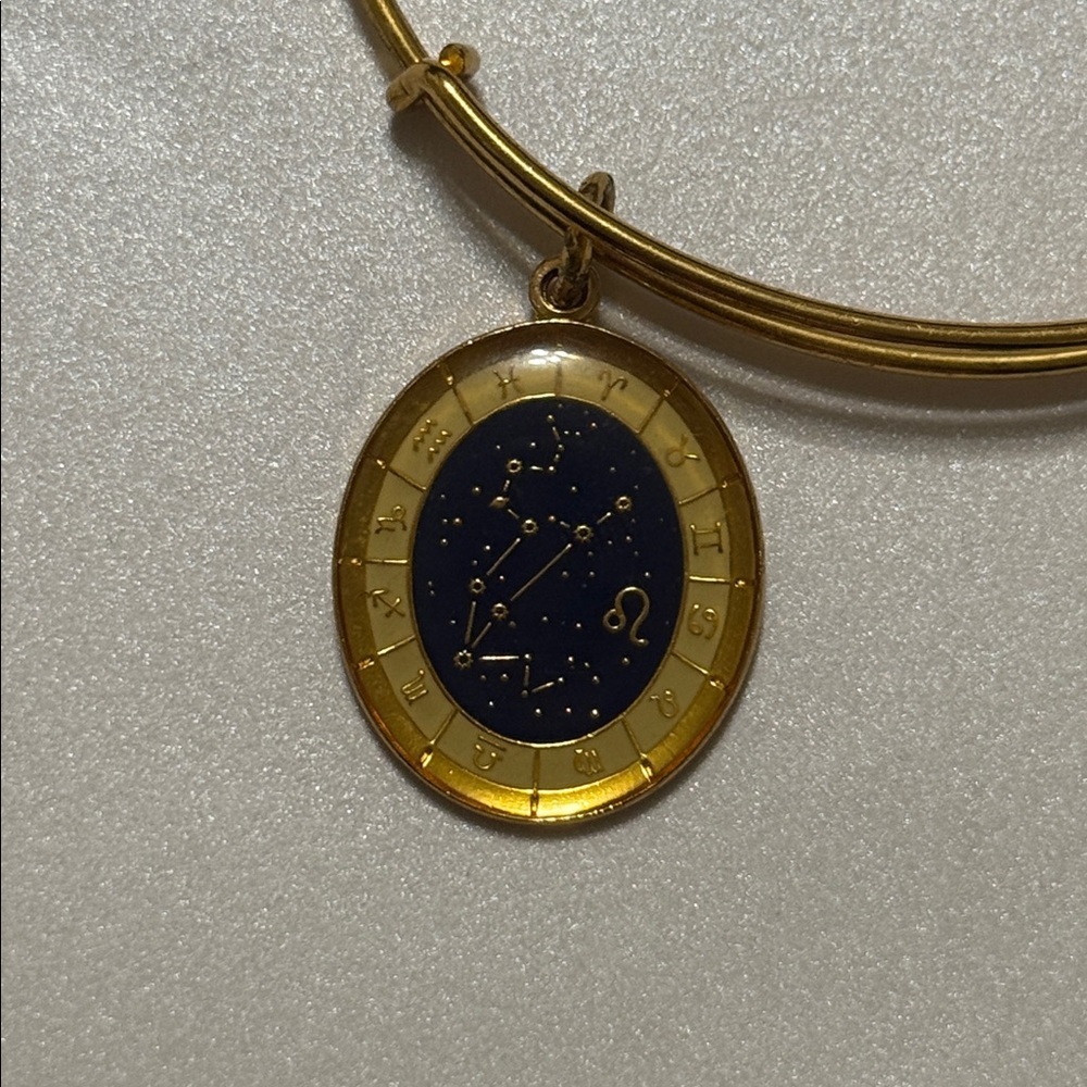 Alex and Ani Gold Leo Constellation Charm Bracelet - Picture 6 of 12